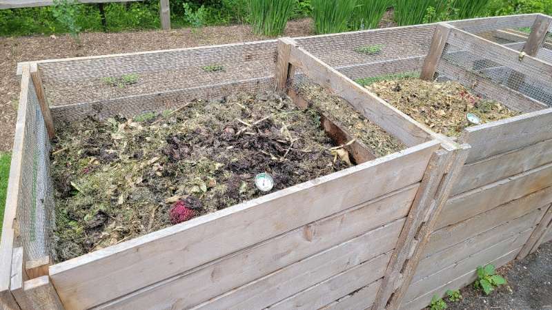 Composter da giardino: guida alla scelta per il compostaggio domestico