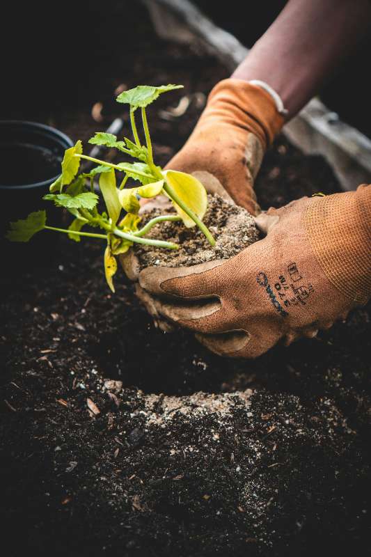 Guanti da giardinaggio resistenti: guida all'acquisto