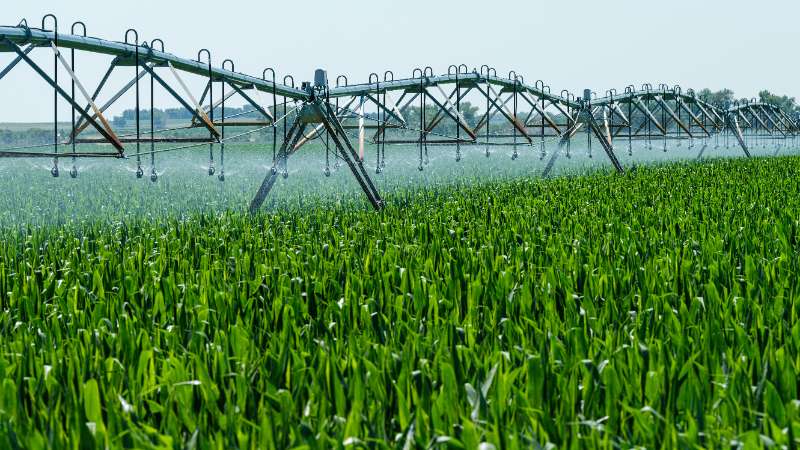 Irrigatore oscillante automatico: come scegliere quello giusto