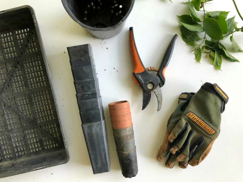 Potatore a batteria: guida alla scelta per la cura di siepi e rami