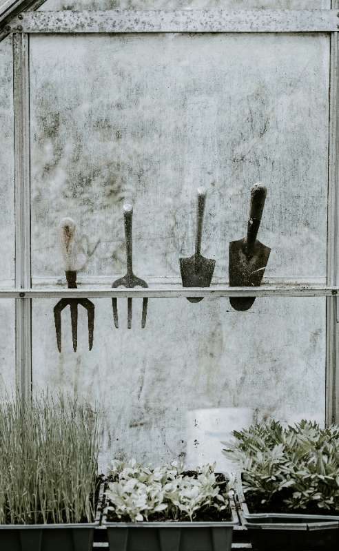 Set di attrezzi da giardino manuali: guida all'acquisto