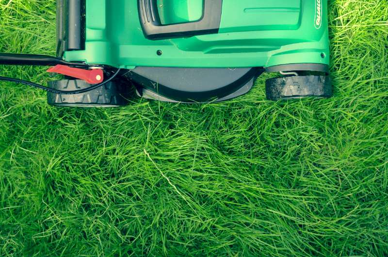 Tosaerba a batteria: guida alla scelta per il tuo giardino